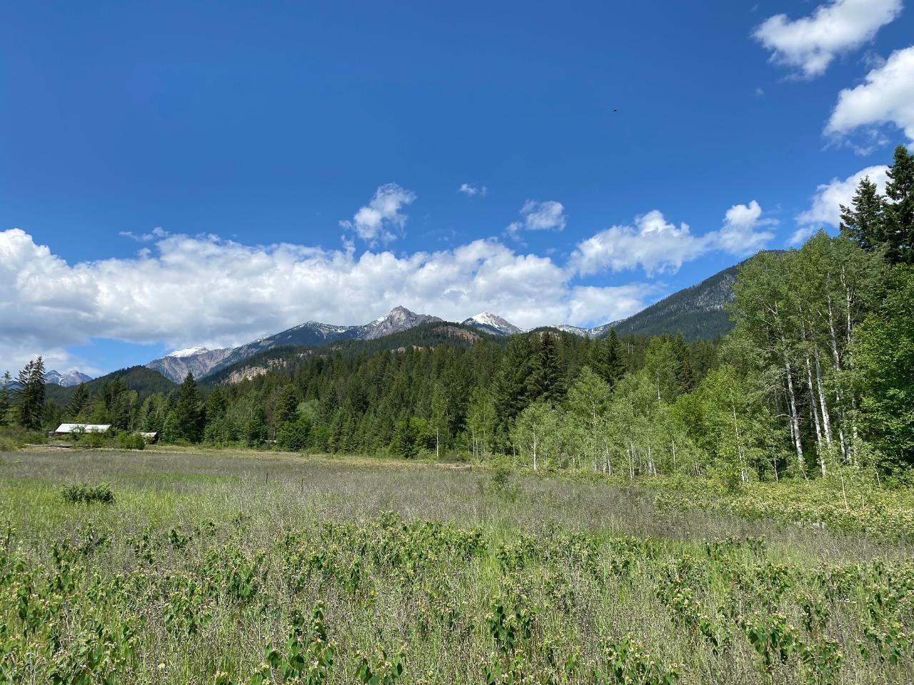 5313 Highway 95, Harrogate, British Columbia  V0A 1J0 - Photo 33 - 2475935