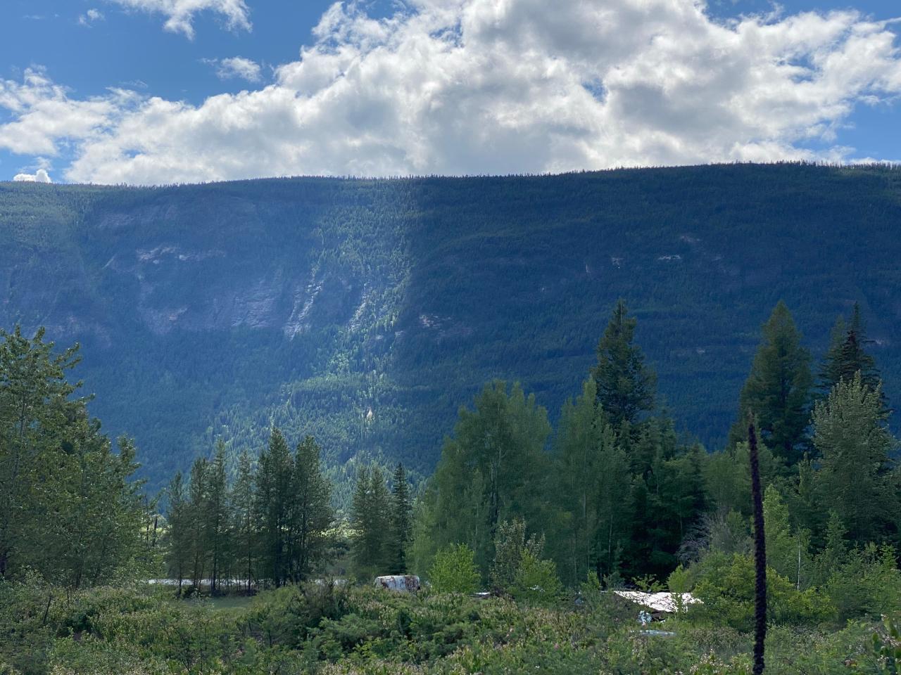 5313 Highway 95, Harrogate, British Columbia  V0A 1J0 - Photo 34 - 2475935