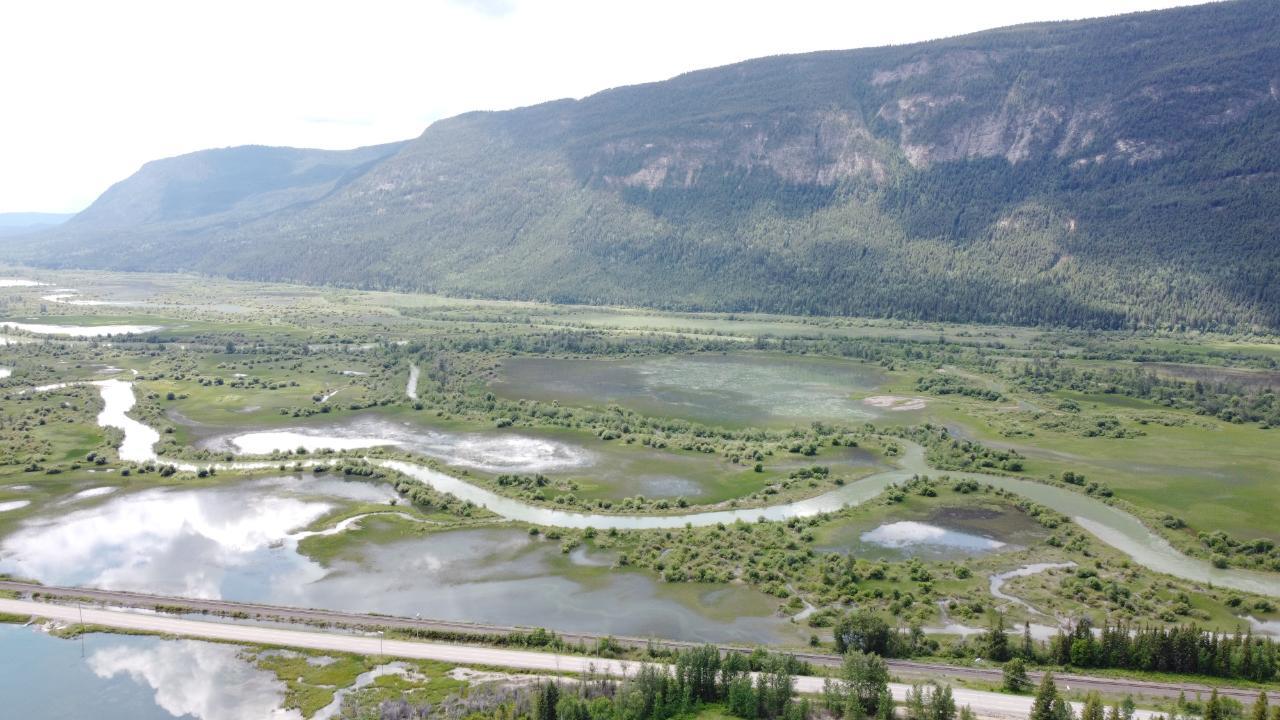 5313 Highway 95, Harrogate, British Columbia  V0A 1J0 - Photo 6 - 2475935