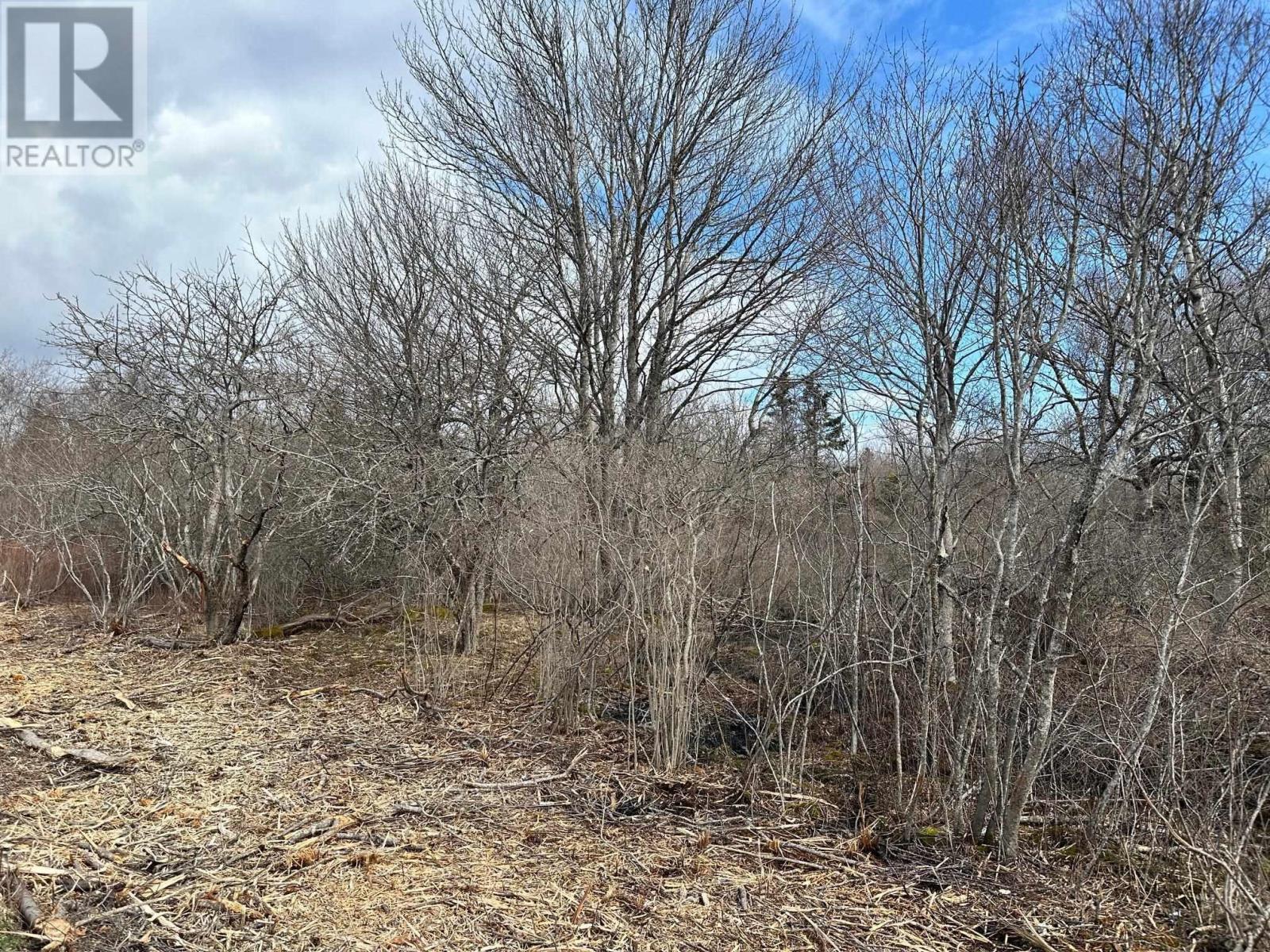 Lot 4 Shore Road, Western Head, Nova Scotia  B0T 1K0 - Photo 1 - 202406347