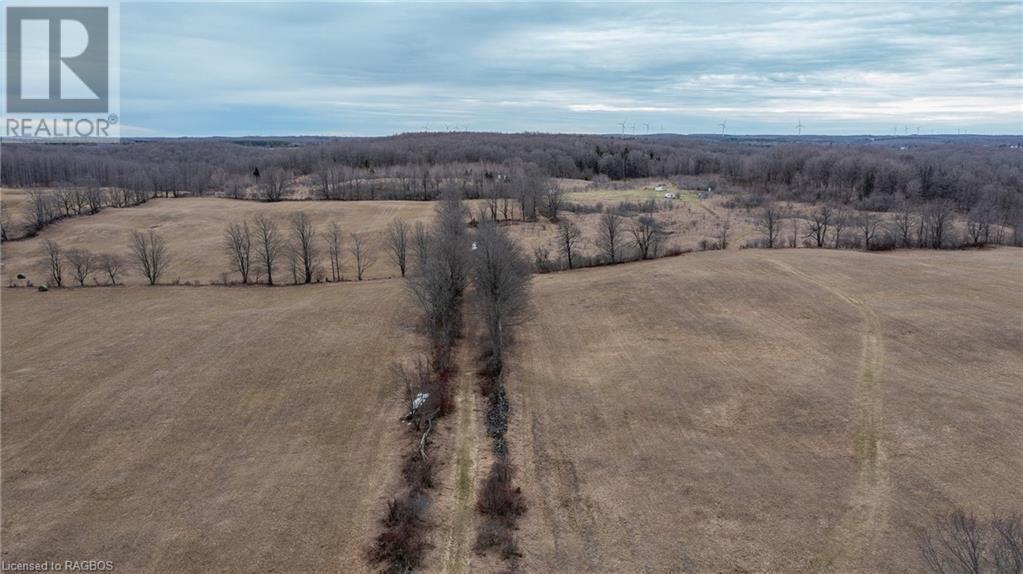 469358 Grey Road 31, Grey Highlands, Ontario  N0C 1M0 - Photo 17 - 40565996