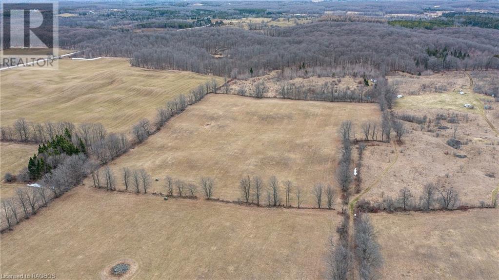 469358 Grey Road 31, Grey Highlands, Ontario  N0C 1M0 - Photo 6 - 40565996