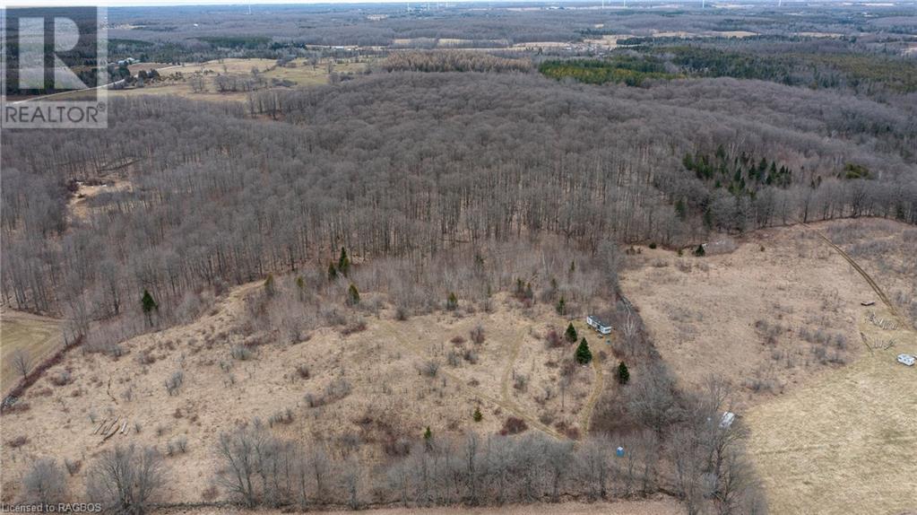 469358 Grey Road 31, Grey Highlands, Ontario  N0C 1M0 - Photo 7 - 40565996