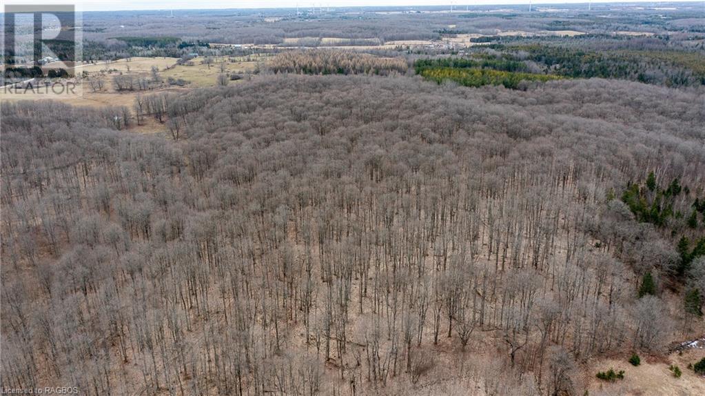 469358 Grey Road 31, Grey Highlands, Ontario  N0C 1M0 - Photo 8 - 40565996