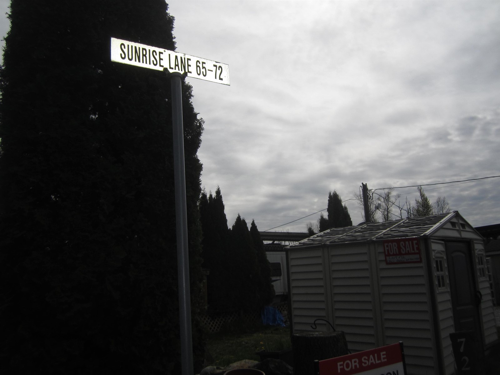 72 8400 Shook Road, Mission, British Columbia  V2V 7L5 - Photo 3 - R2866958