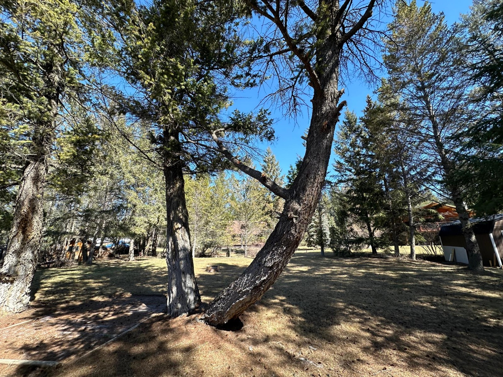 73 - 2000 Indian Beach Road, Windermere, British Columbia  V0B 2L2 - Photo 10 - 2475947