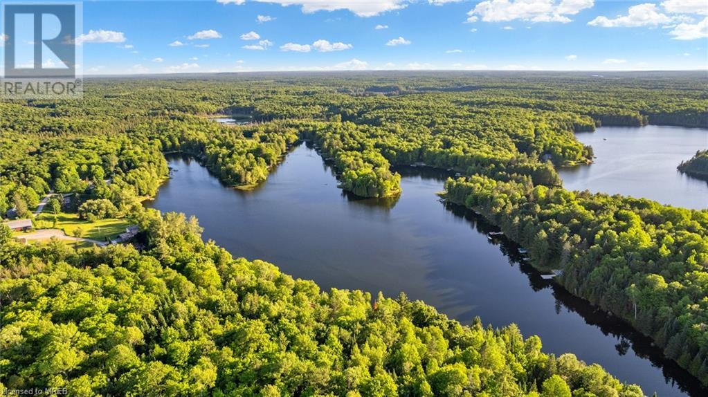 25 Fire Route 296, Trent Lakes, Ontario  K0L 1J0 - Photo 5 - 40567350