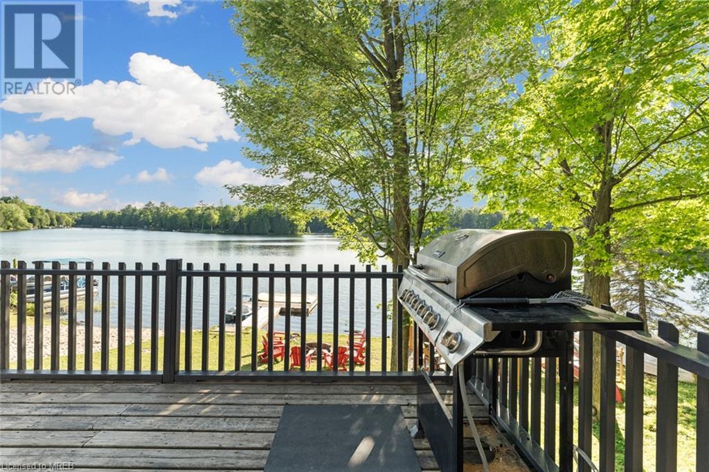 25 Fire Route 296, Trent Lakes, Ontario  K0L 1J0 - Photo 36 - 40567350