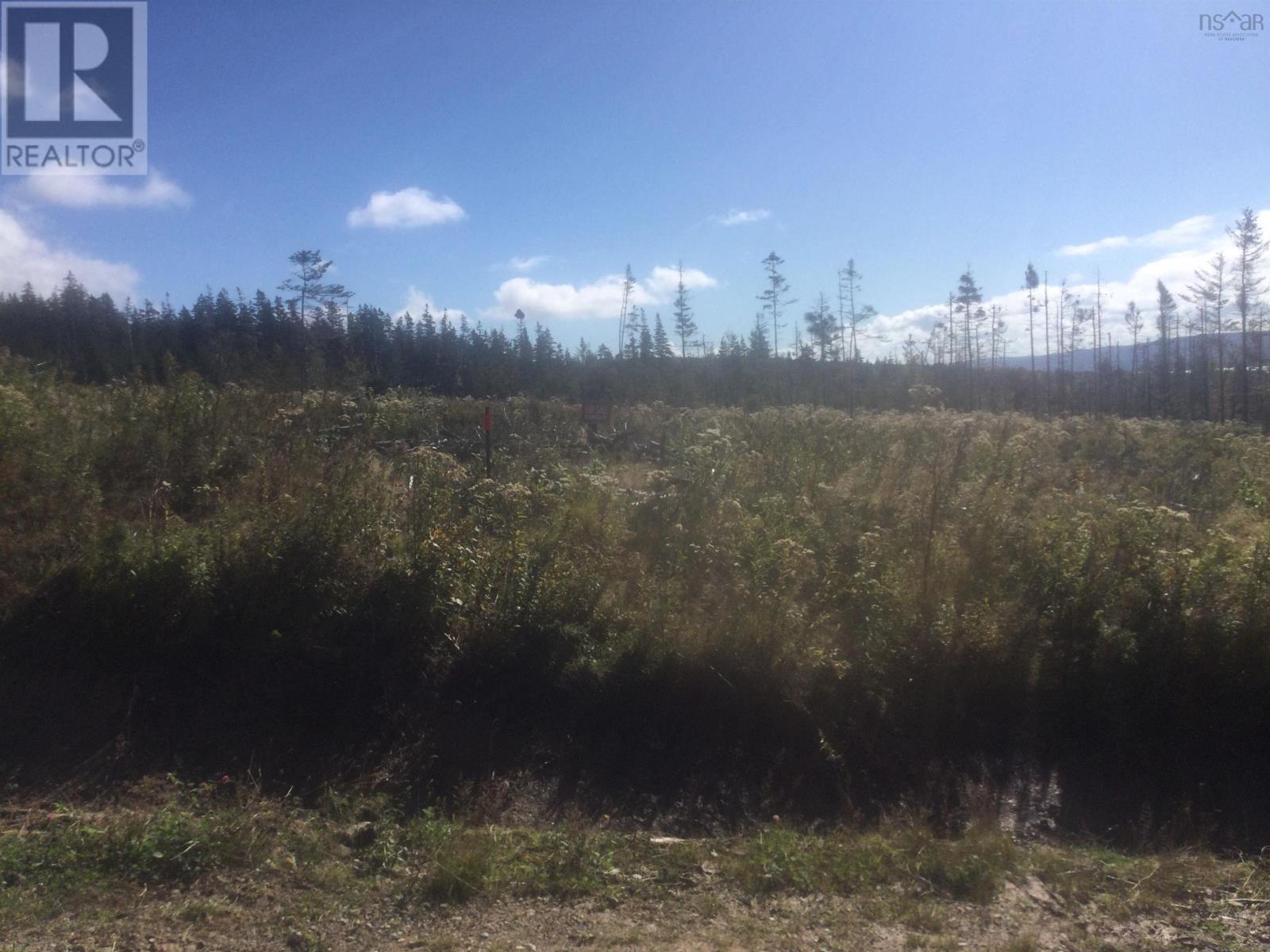 Lot 16 Creignish Mountain Road, Creignish, Nova Scotia  B9A 1B6 - Photo 5 - 202406374