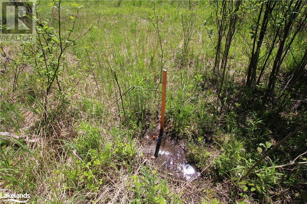 0 Hwy 534, Restoule, Ontario  P0H 2R0 - Photo 12 - 40567528