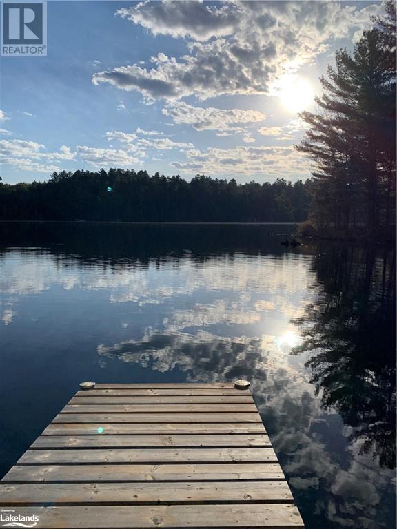 1120 Little Bob Lake Road, Minden, Ontario  K0M 2K0 - Photo 38 - 40566356