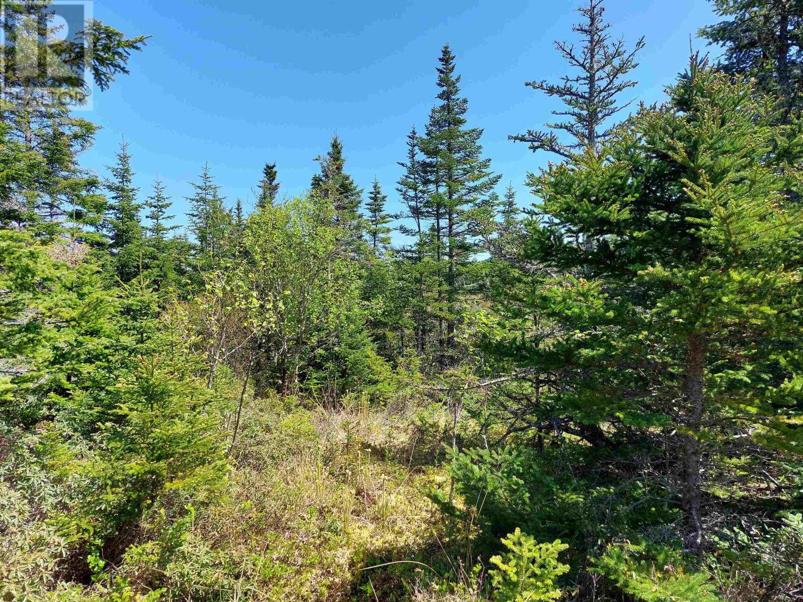 Lot 7 & 8a Dales Lane, Gabarus Lake, Nova Scotia  B1K 0A1 - Photo 6 - 202406391