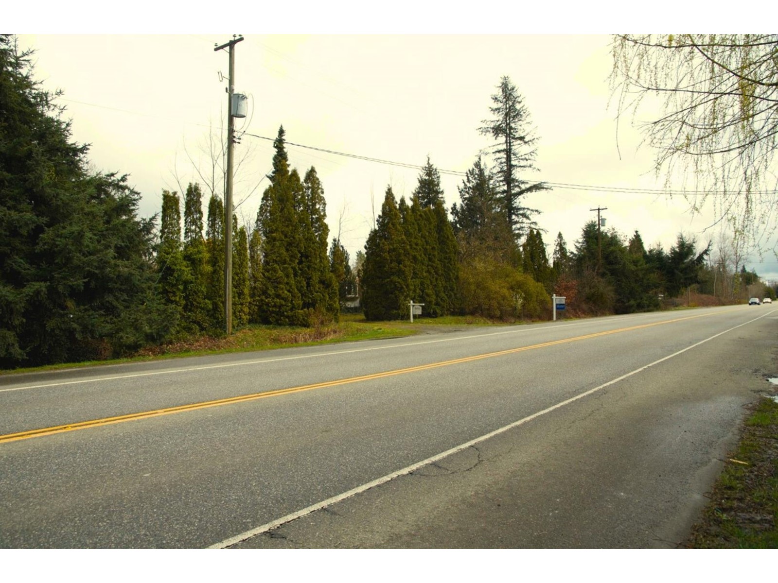 24183 Fraser Highway, Langley, British Columbia  V2Z 2L3 - Photo 3 - R2863364