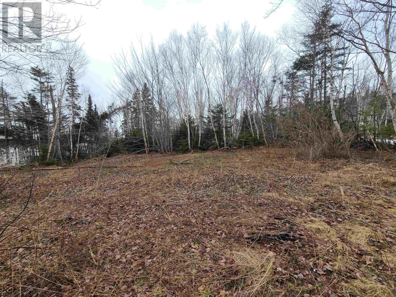 349 Birch Point Road, South Cove, Nova Scotia  B0E 1T0 - Photo 11 - 202406393