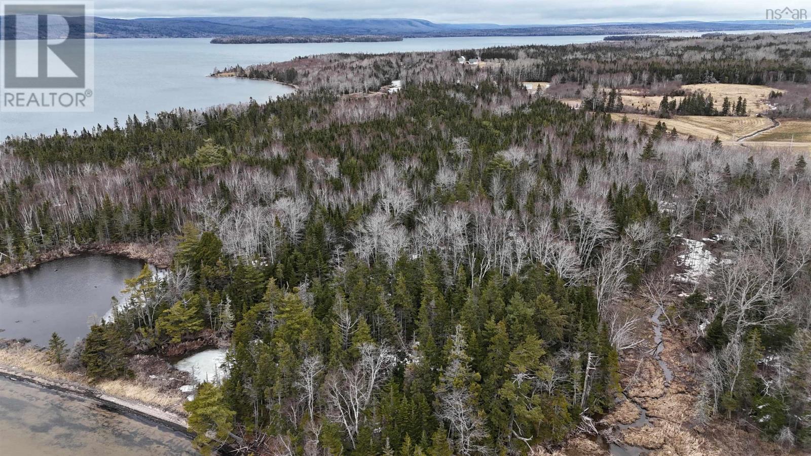 349 Birch Point Road, South Cove, Nova Scotia  B0E 1T0 - Photo 14 - 202406393