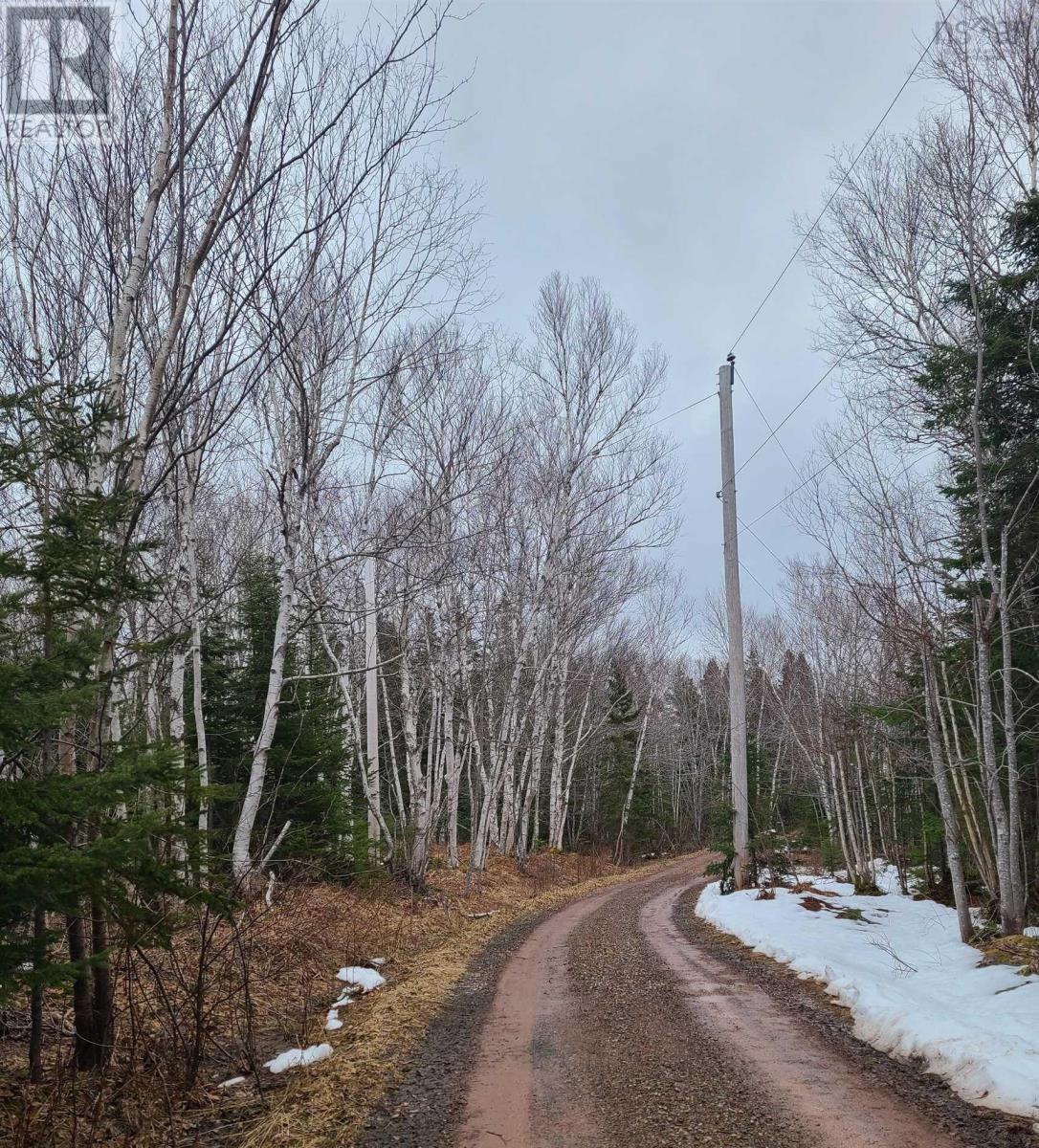 349 Birch Point Road, South Cove, Nova Scotia  B0E 1T0 - Photo 31 - 202406393