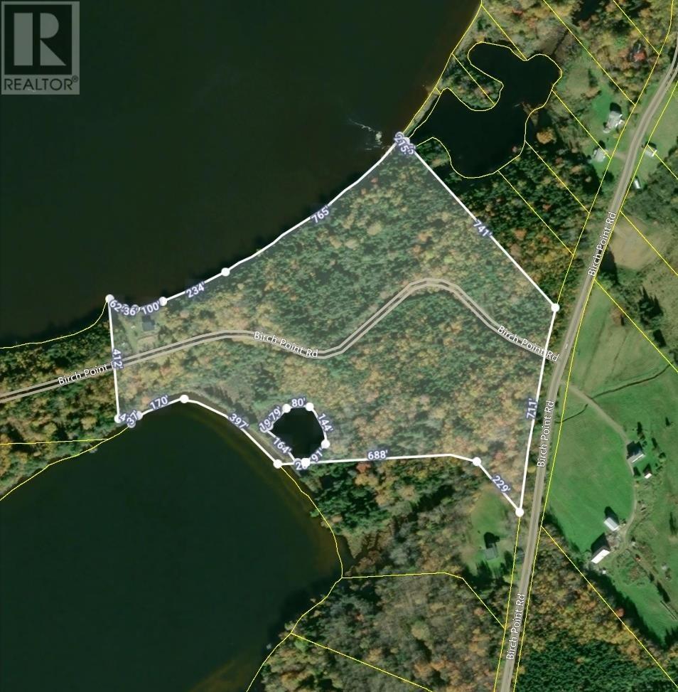 349 Birch Point Road, South Cove, Nova Scotia  B0E 1T0 - Photo 32 - 202406393