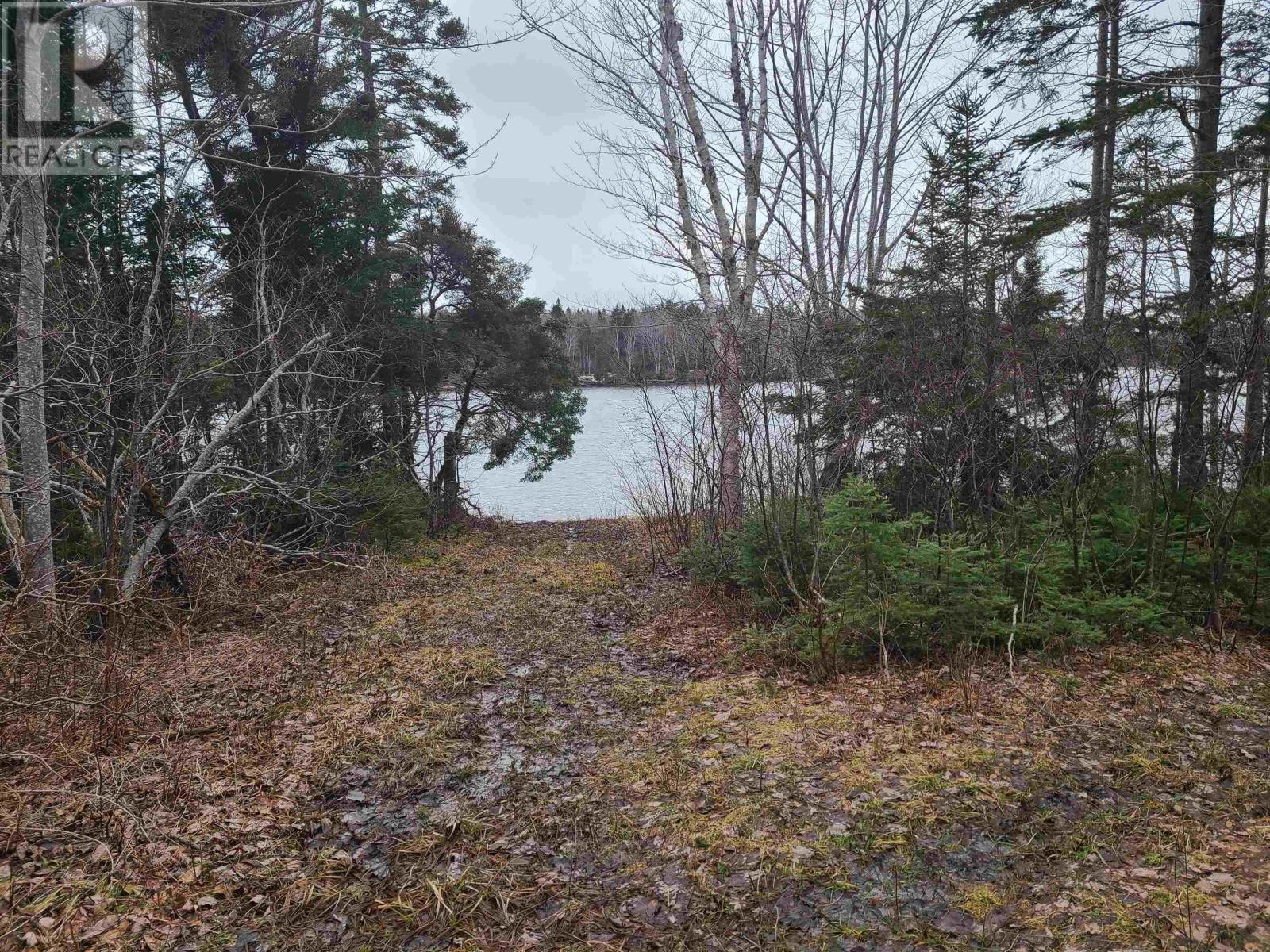 349 Birch Point Road, South Cove, Nova Scotia  B0E 1T0 - Photo 8 - 202406393