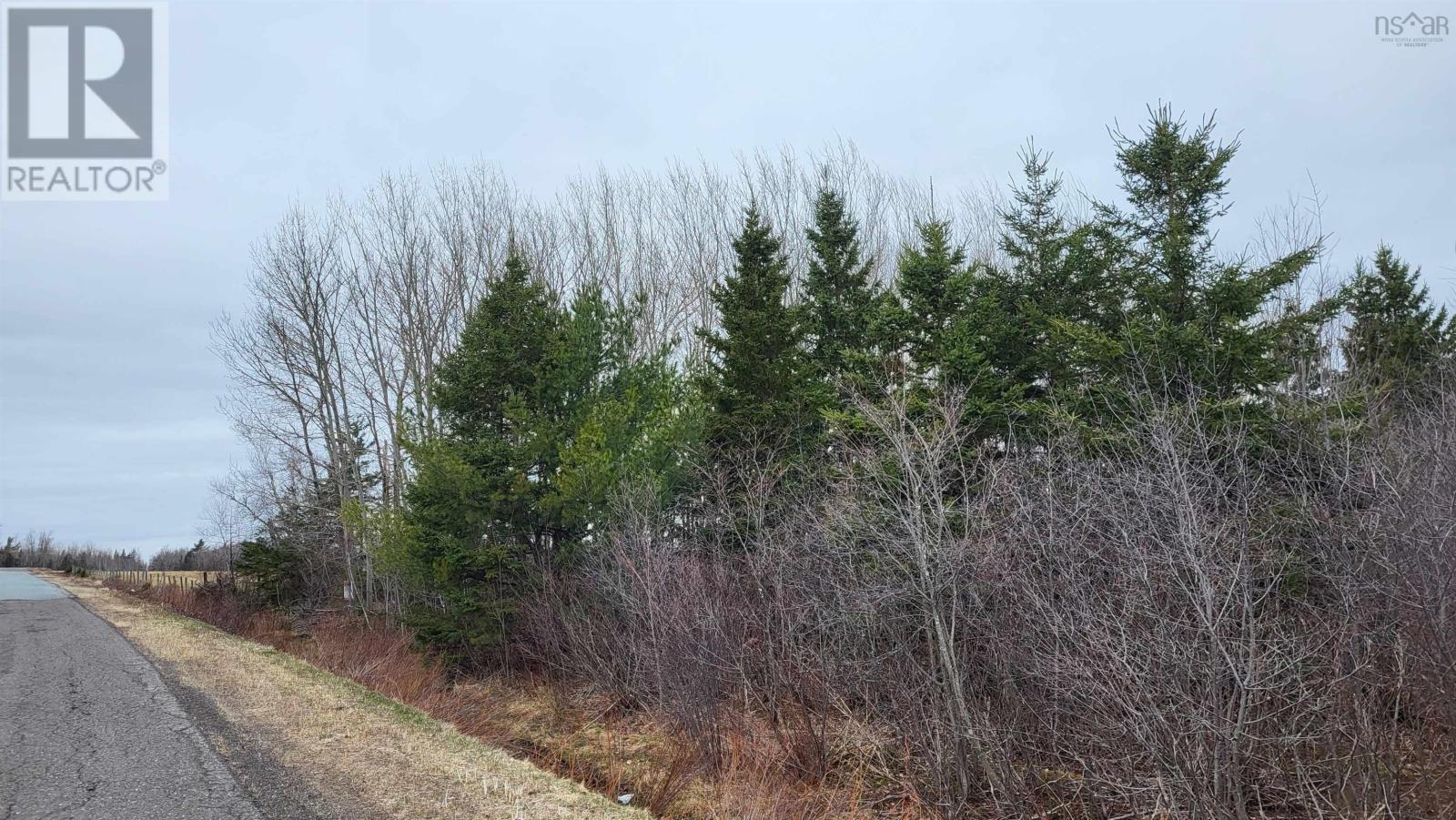 19.5 Acres Old Pictou Road, Hodson, Nova Scotia  B0K 1N0 - Photo 1 - 202406400