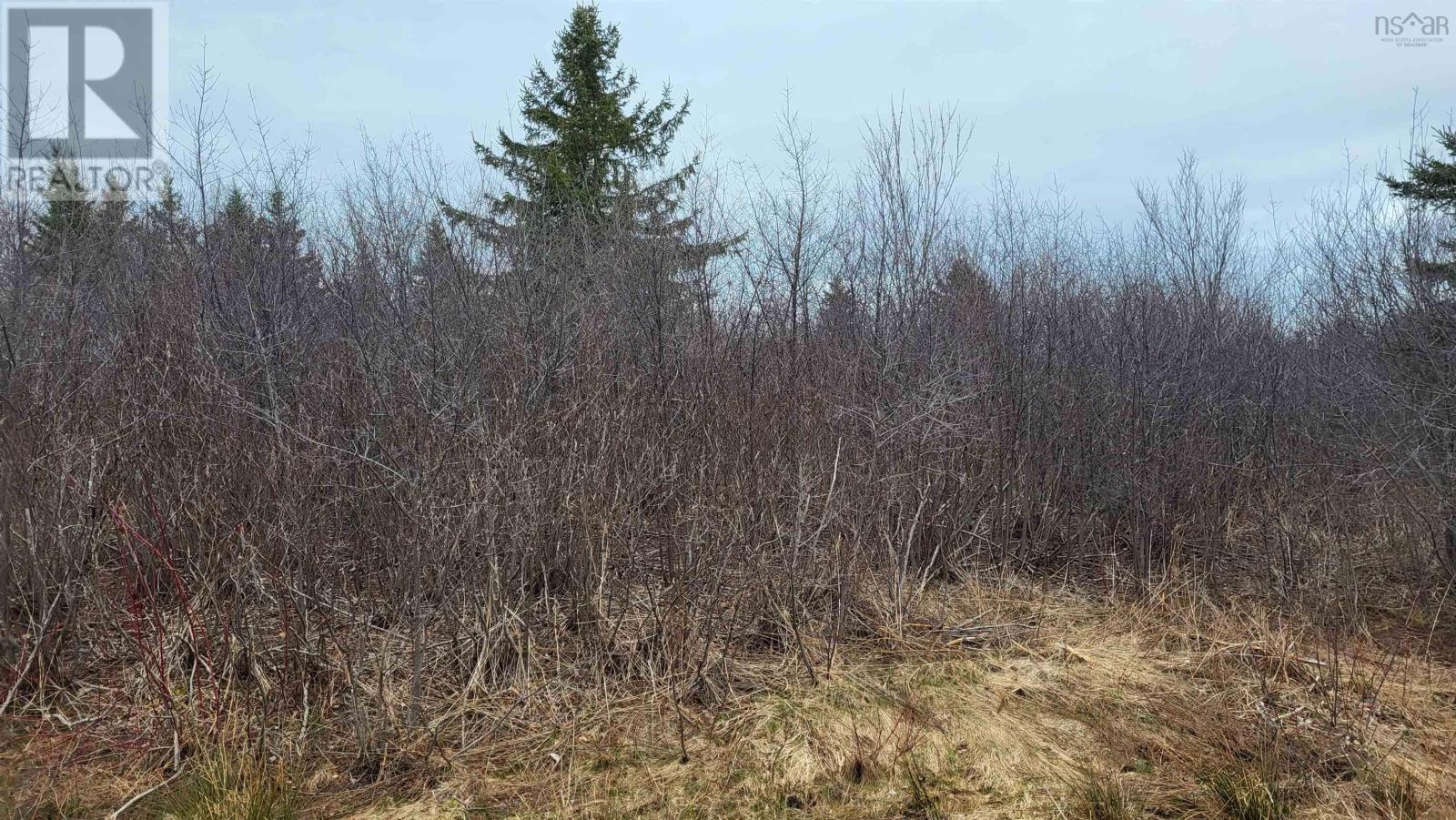 19.5 Acres Old Pictou Road, Hodson, Nova Scotia  B0K 1N0 - Photo 2 - 202406400