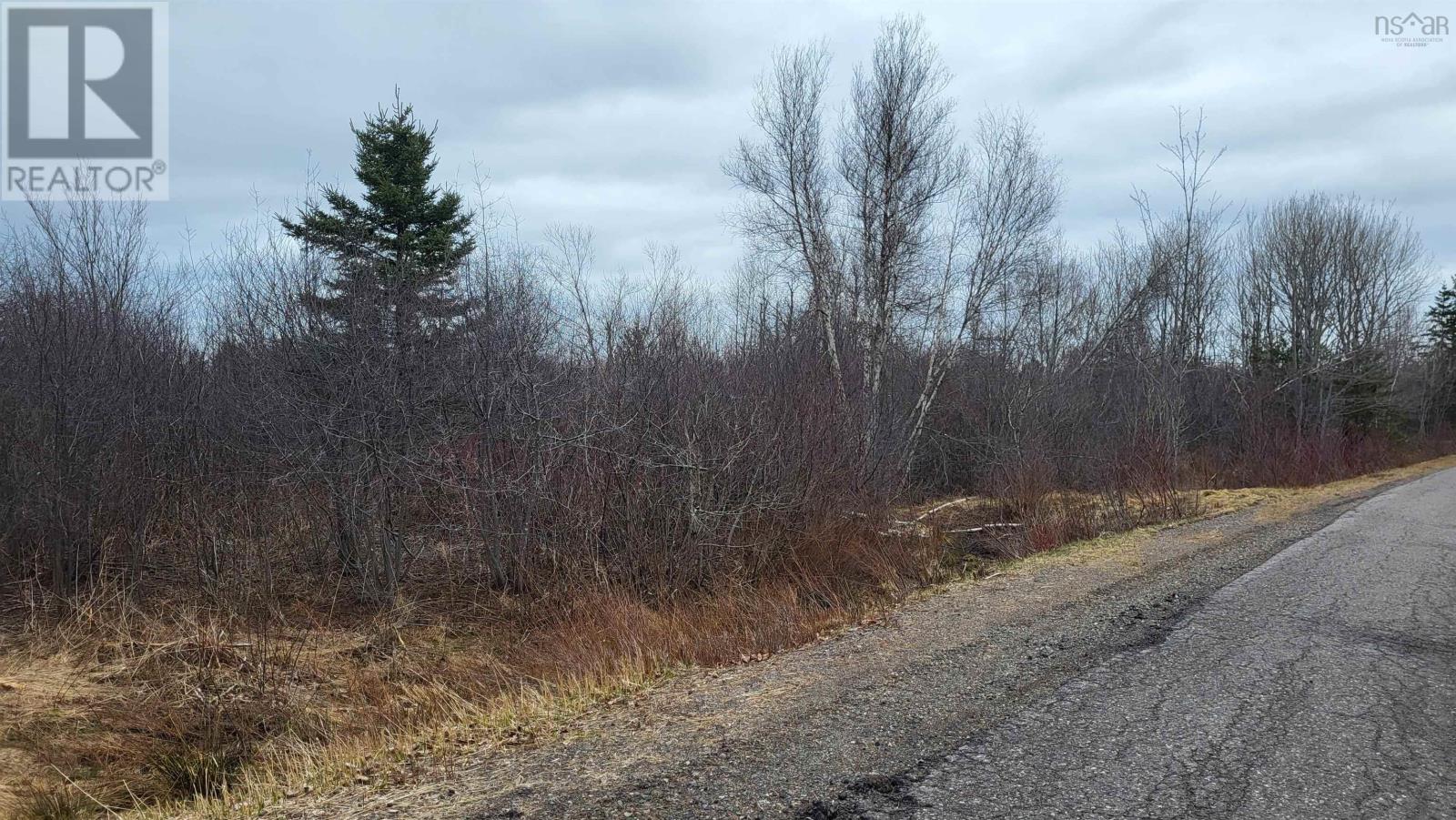 19.5 Acres Old Pictou Road, Hodson, Nova Scotia  B0K 1N0 - Photo 3 - 202406400