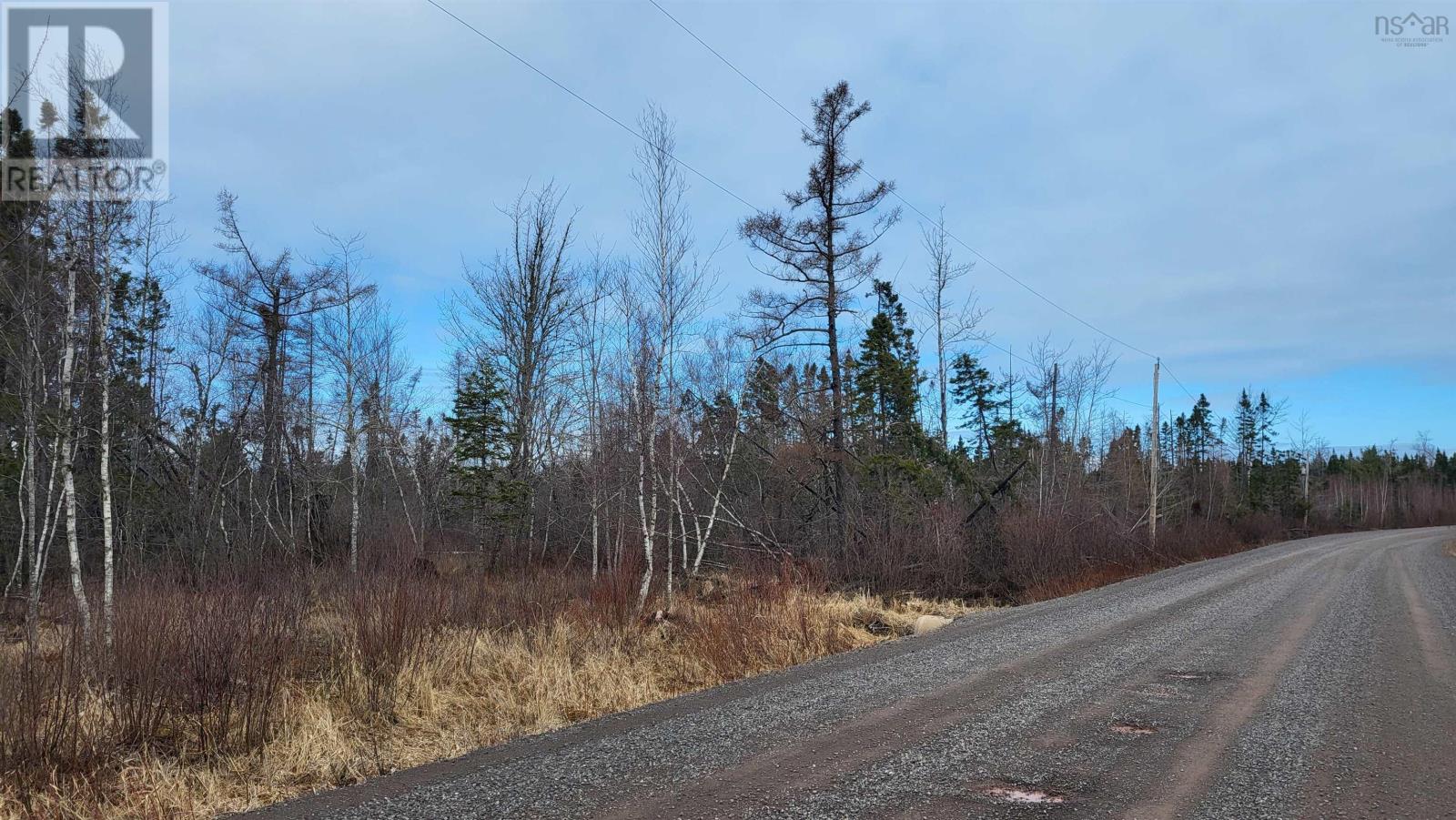 8 Acres Otter Road, Waterside, Nova Scotia  B0K 1H0 - Photo 1 - 202406402