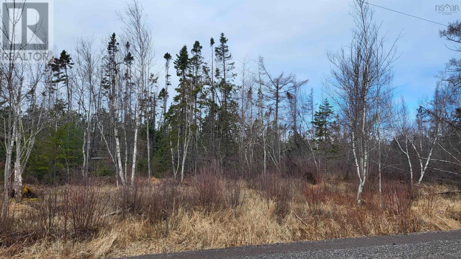 8 Acres Otter Road, Waterside, Nova Scotia  B0K 1H0 - Photo 2 - 202406402