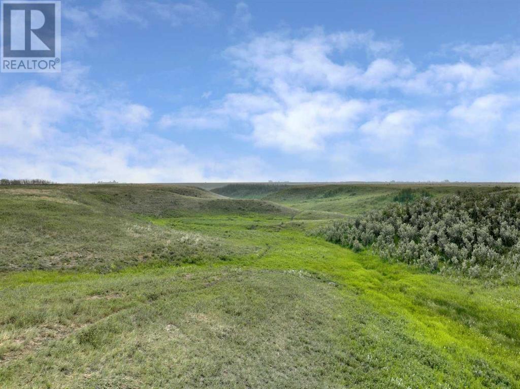 16th, Rural Foothills County, Alberta  T1V 1M6 - Photo 11 - A2111979