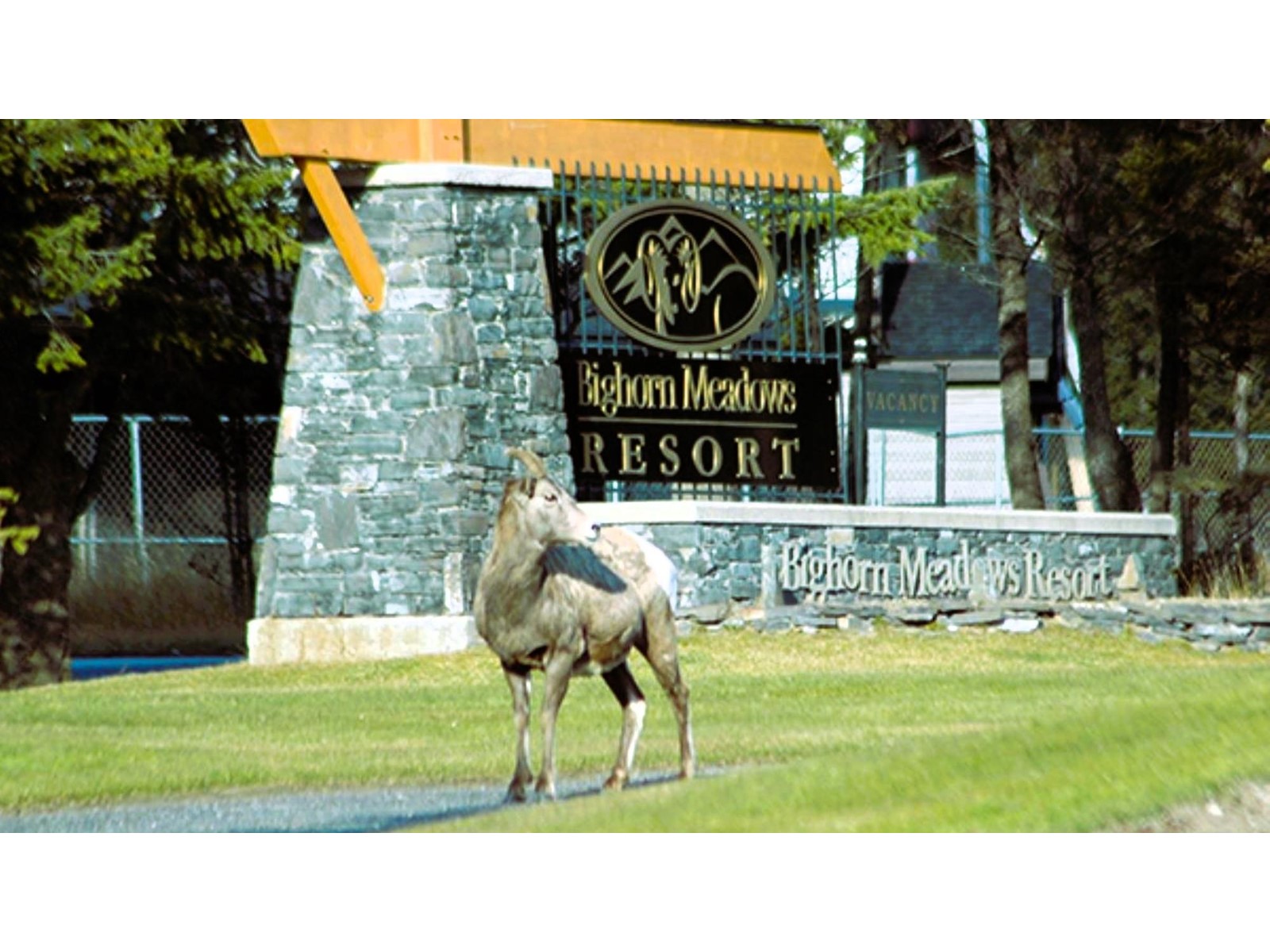 415 Q - 400 Bighorn Boulevard, Radium Hot Springs, British Columbia  V0A 1M0 - Photo 67 - 2475940