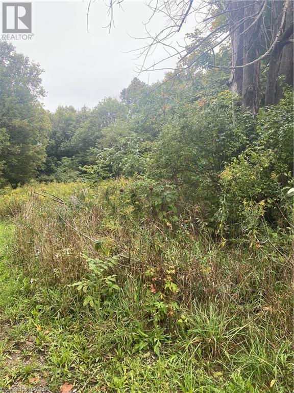 Part Lot 31 Plan 857 Joynt Street, Shallow Lake, Ontario  N0H 2K0 - Photo 2 - 40567820