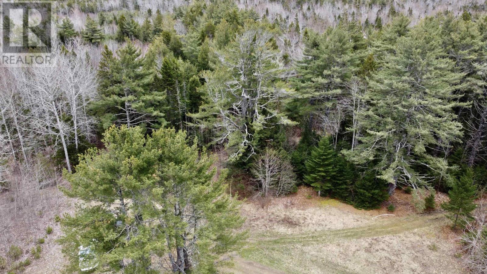 Lot Dagley Road, Italy Cross, Nova Scotia  B4V 0N8 - Photo 10 - 202406427