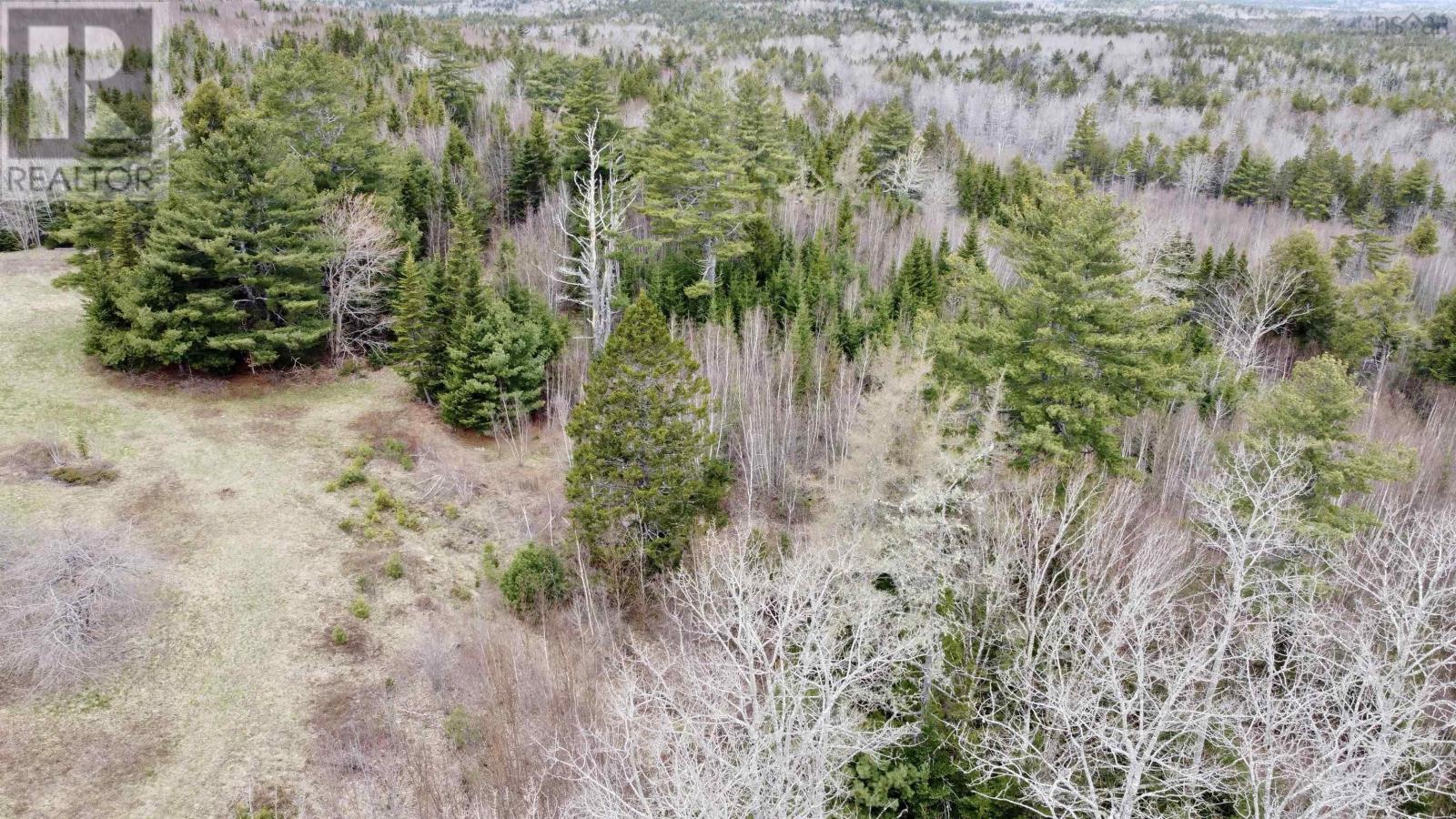 Lot Dagley Road, Italy Cross, Nova Scotia  B4V 0N8 - Photo 12 - 202406427