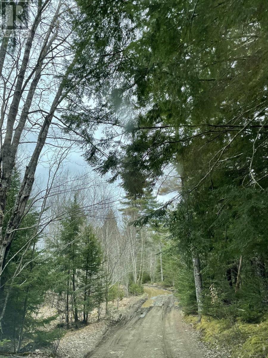 Lot Dagley Road, Italy Cross, Nova Scotia  B4V 0N8 - Photo 16 - 202406427