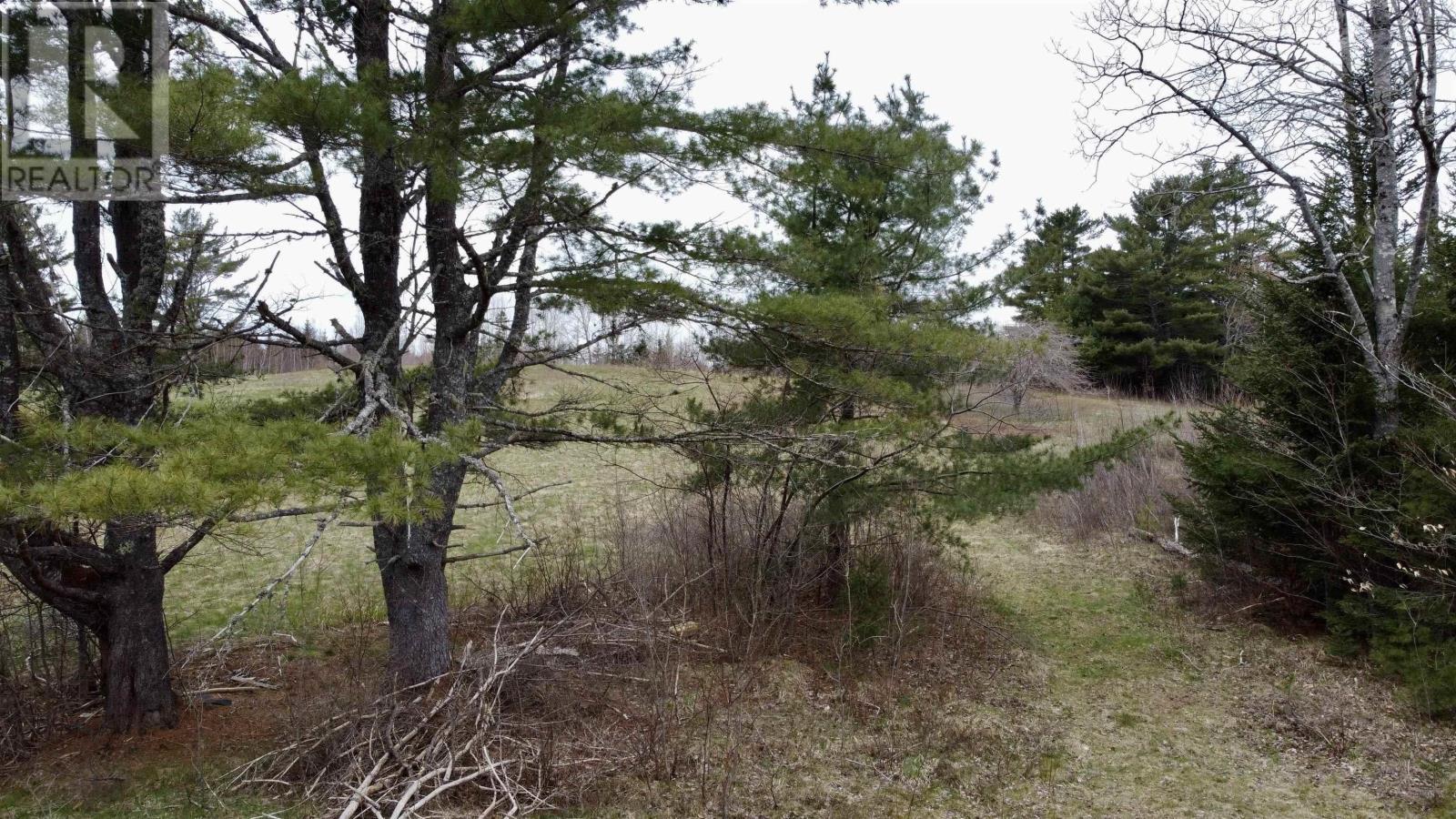 Lot Dagley Road, Italy Cross, Nova Scotia  B4V 0N8 - Photo 4 - 202406427