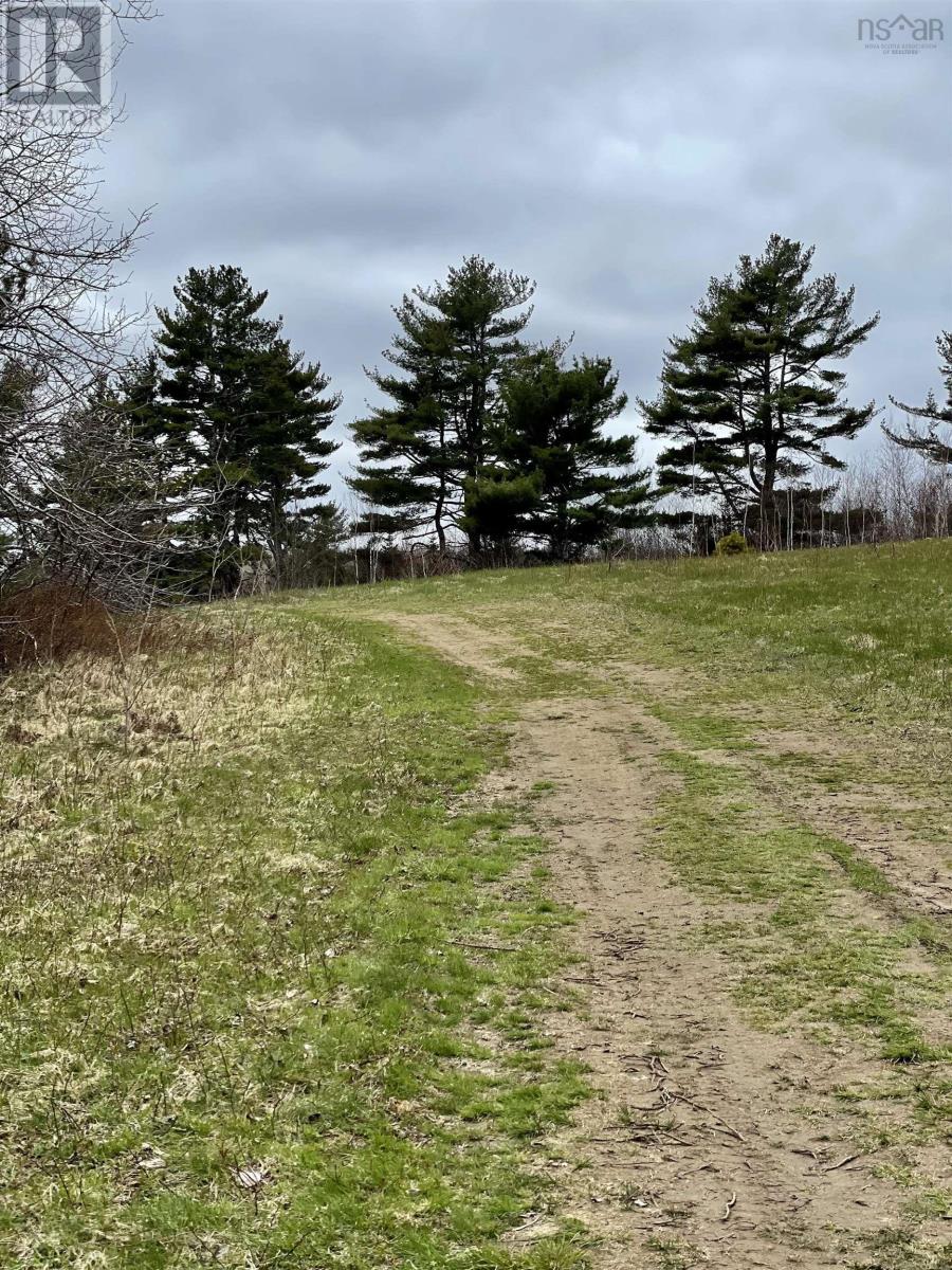 Lot Dagley Road, Italy Cross, Nova Scotia  B4V 0N8 - Photo 5 - 202406427
