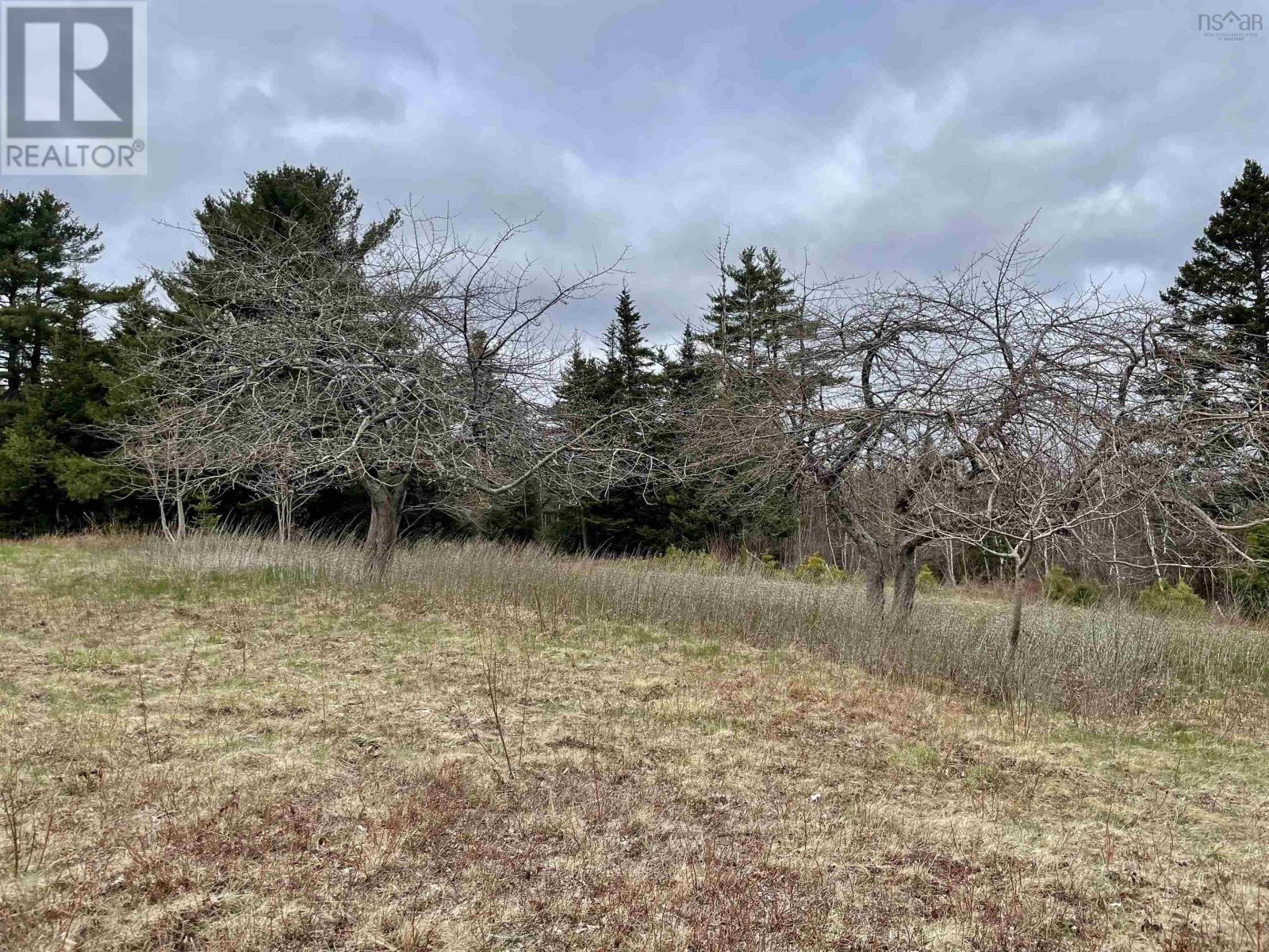 Lot Dagley Road, Italy Cross, Nova Scotia  B4V 0N8 - Photo 6 - 202406427