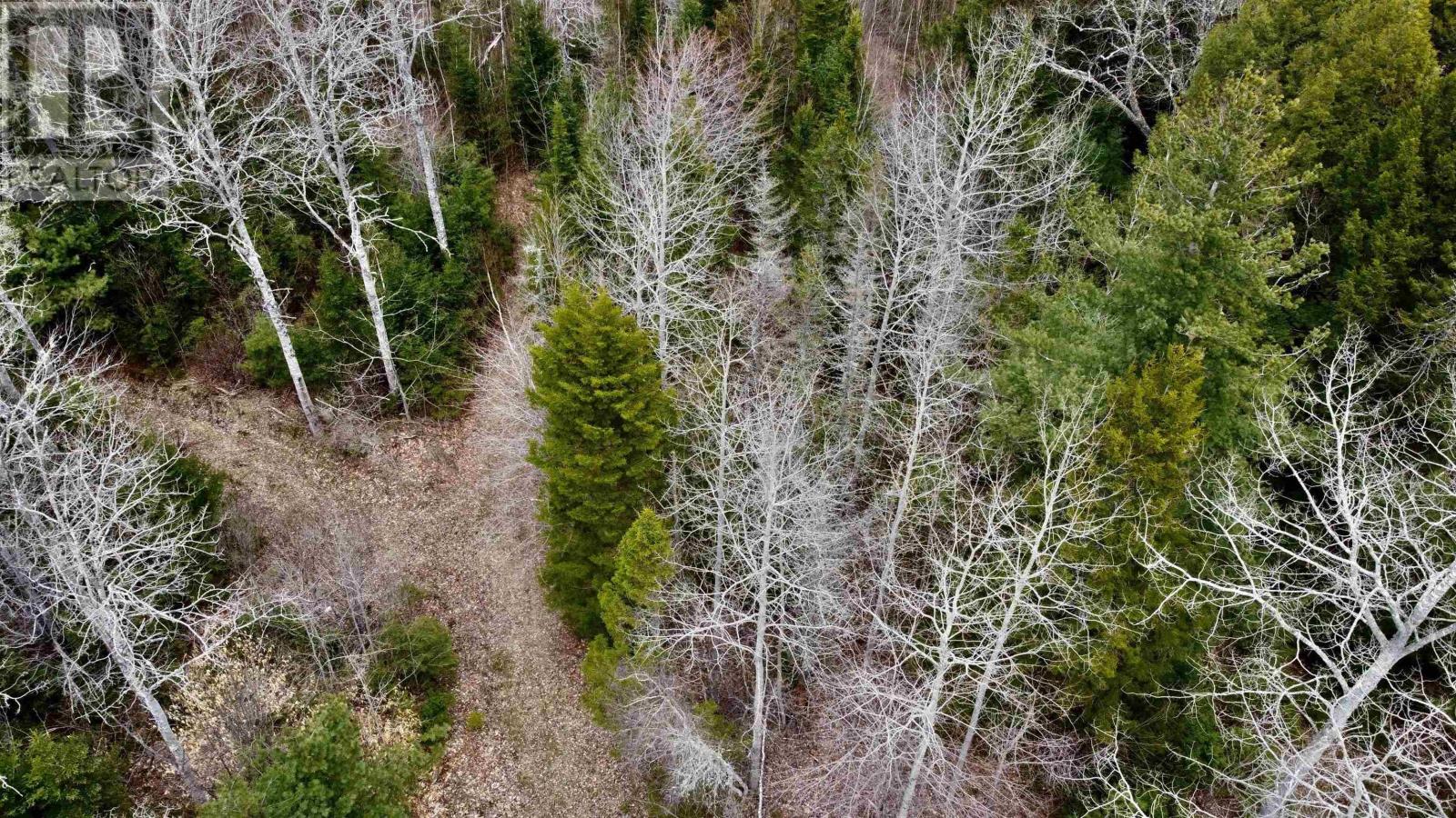 Lot Dagley Road, Italy Cross, Nova Scotia  B4V 0N8 - Photo 7 - 202406427