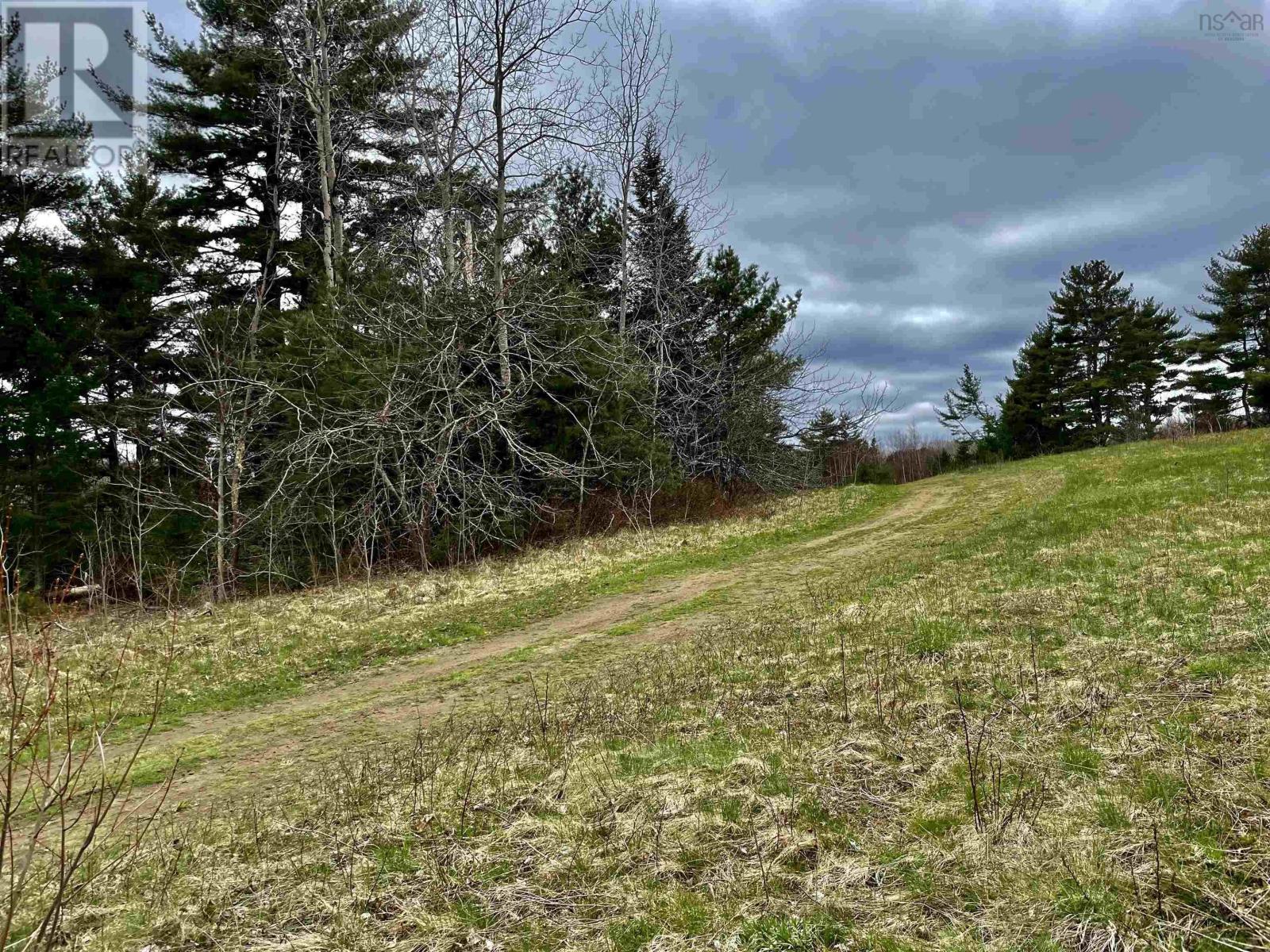 Lot Dagley Road, Italy Cross, Nova Scotia  B4V 0N8 - Photo 9 - 202406427