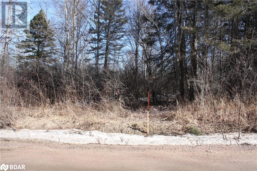 0 Mcnutt Road, Bonfield, Ontario  P0H 1E0 - Photo 3 - 40554803