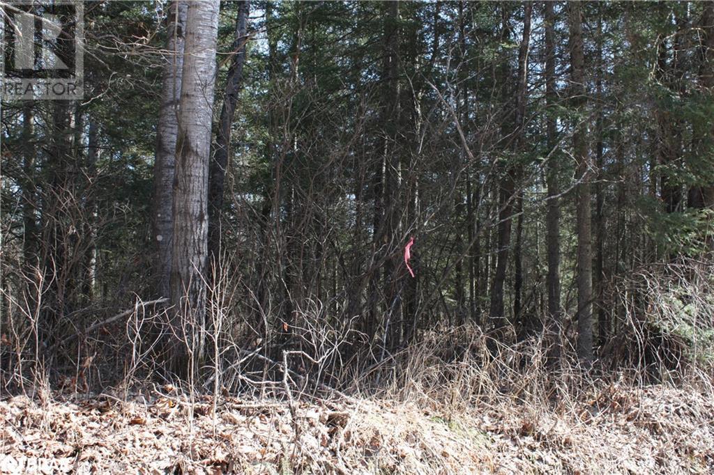 0 Mcnutt Road, Bonfield, Ontario  P0H 1E0 - Photo 4 - 40554803