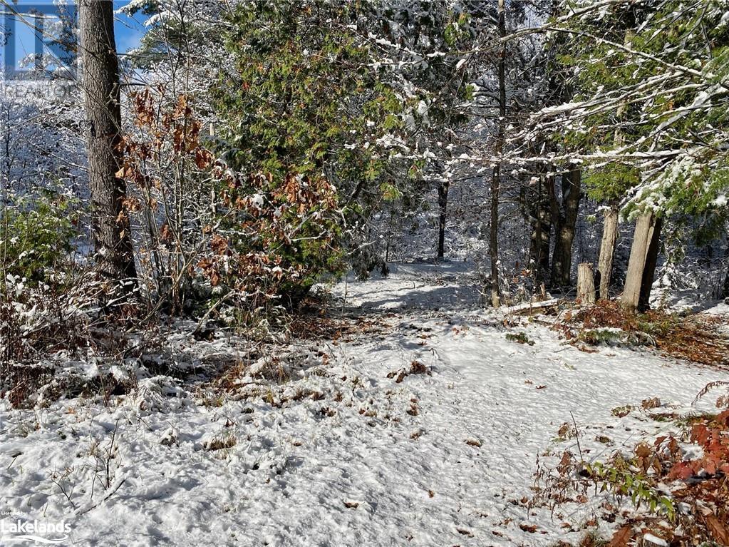 1445 Reay Road East E, Gravenhurst, Ontario  P1P 1R3 - Photo 2 - 40564509