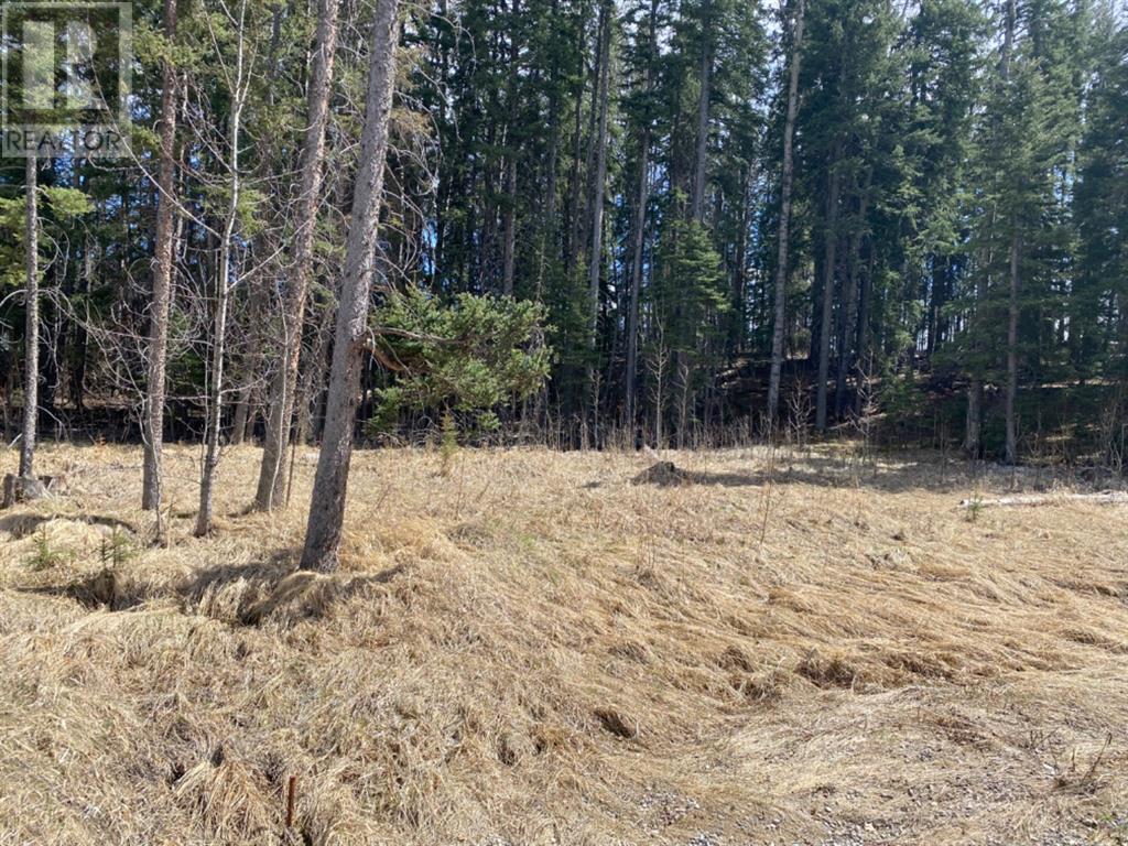 175 Woodfrog Way, Rural Mountain View County, Alberta  T0M 1X0 - Photo 1 - A2016010