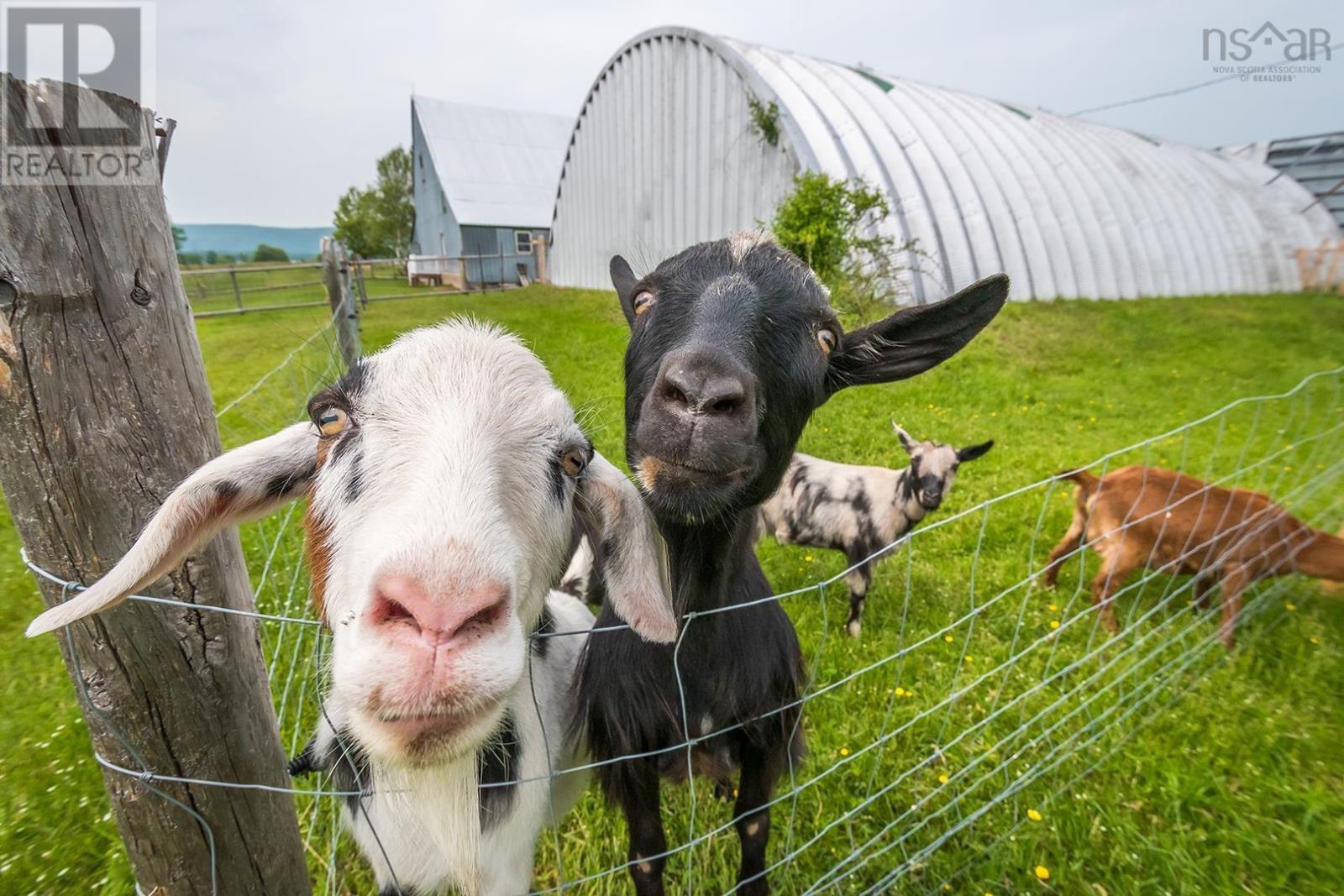 4035 Highway 201, Carleton Corner, Nova Scotia  B0S 1C0 - Photo 34 - 202406498