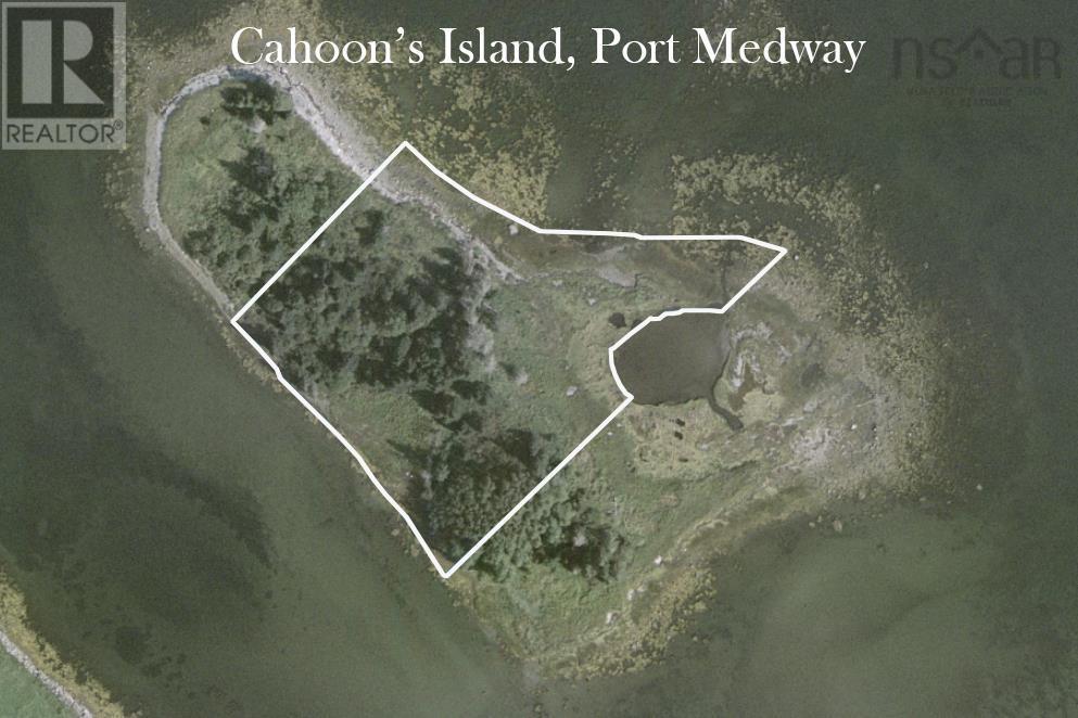 Cahoon Island, Port Medway, Nova Scotia  B0J 2T0 - Photo 4 - 202406513