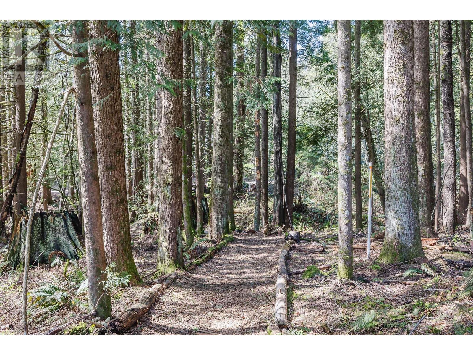 12240 Mcnutt Road, Maple Ridge, British Columbia  V2W 1N6 - Photo 39 - R2867702