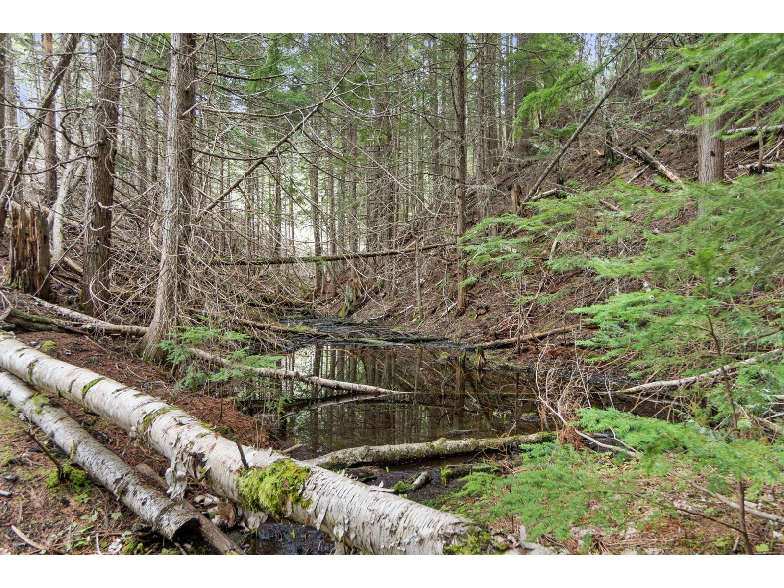 2550 Pass Creek Road, Pass Creek, British Columbia  V1N 4T4 - Photo 39 - 2475960