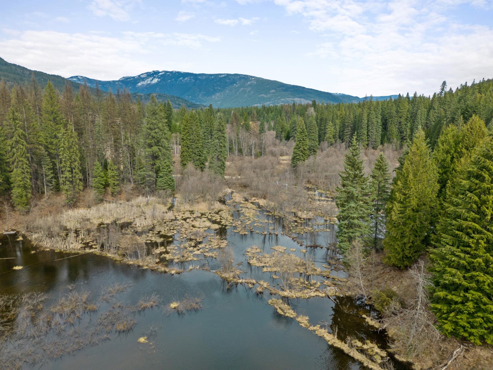 2550 Pass Creek Road, Pass Creek, British Columbia  V1N 4T4 - Photo 5 - 2475960