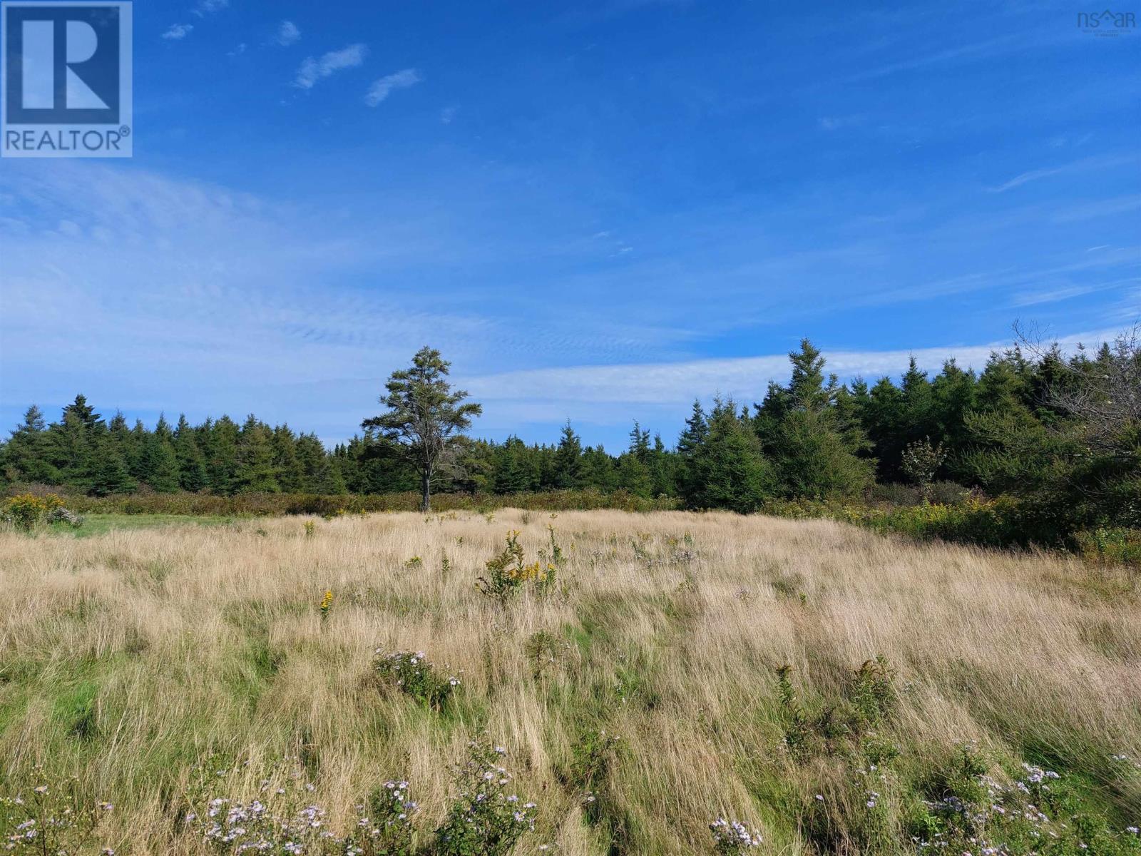 Anthony Rd,, West Arichat, Nova Scotia  B0E 3J0 - Photo 6 - 202406516