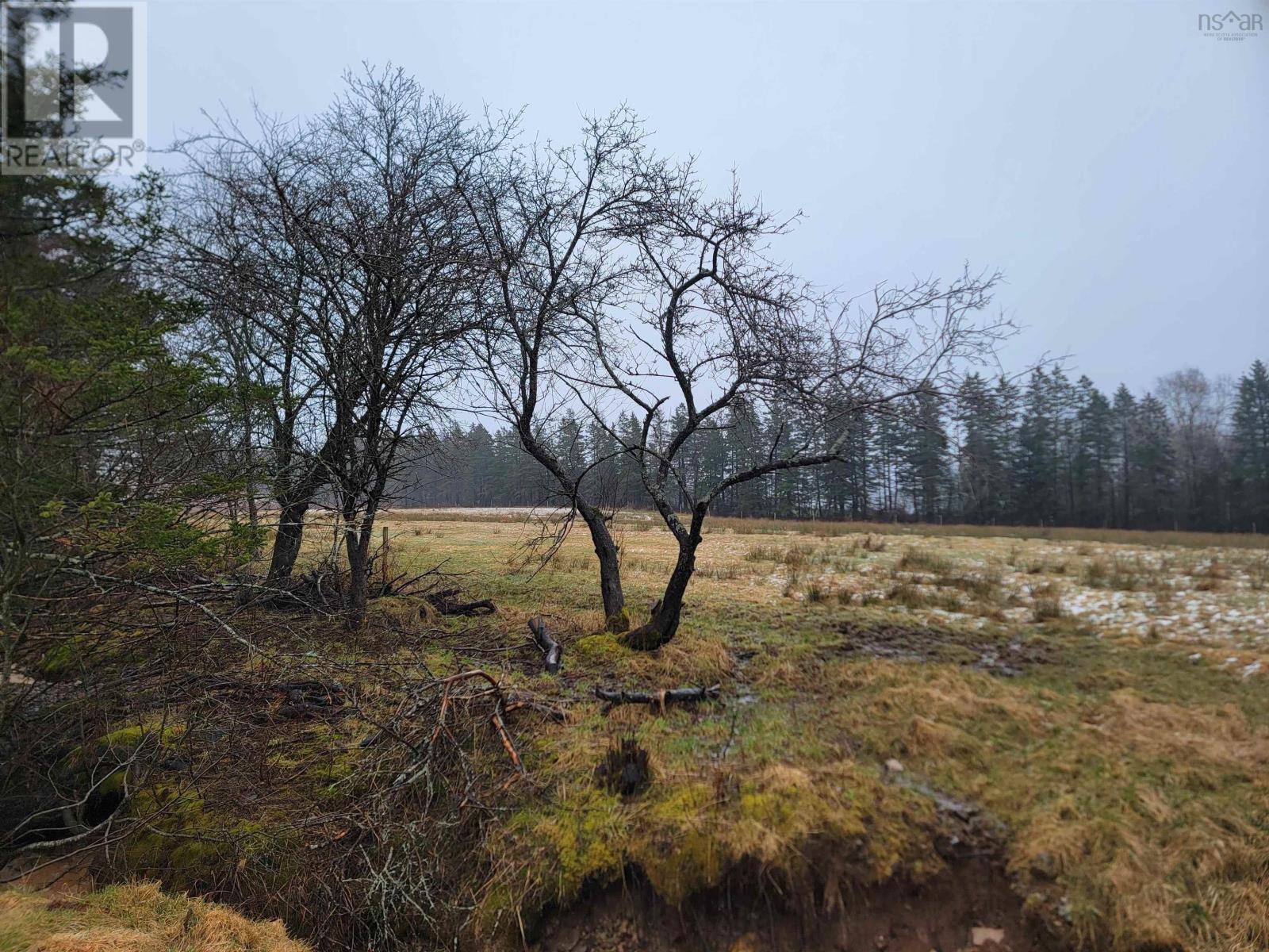 651 Riverside Road, Princeville, Nova Scotia  B0E 3L0 - Photo 27 - 202406530