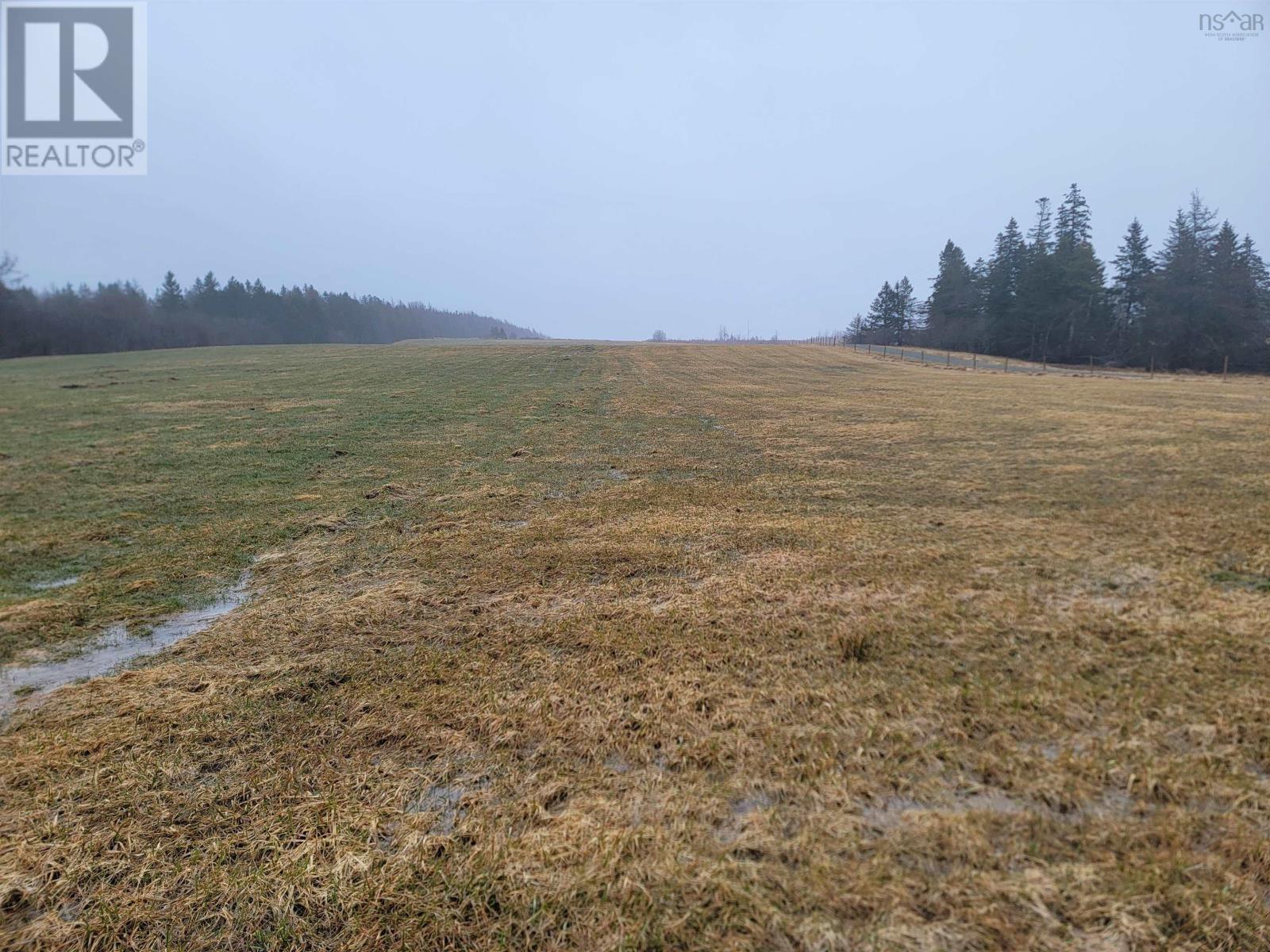 651 Riverside Road, Princeville, Nova Scotia  B0E 3L0 - Photo 29 - 202406530